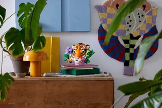 Tijger