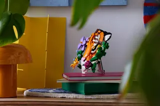 Tijger