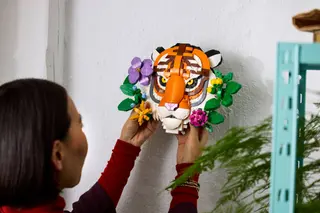 Tijger