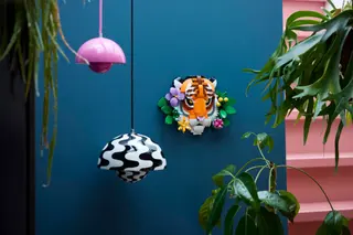Tijger