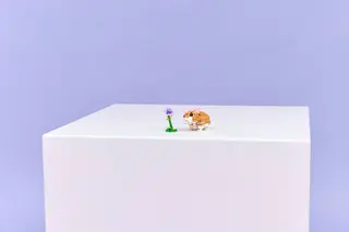 Cute Hamster with a Flower