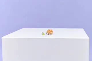 Cute Hamster with a Flower