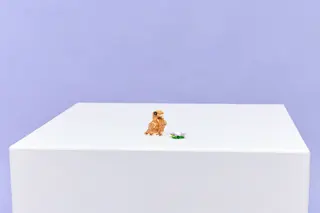Cute Hamster with a Flower
