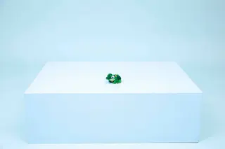 Schildkröte mit einer Seerose