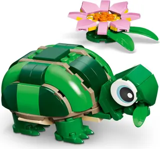 Schildkröte mit einer Seerose