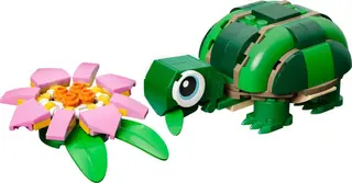 Schildkröte mit einer Seerose