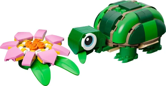Schildkröte mit einer Seerose