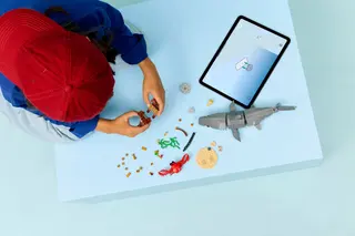 Requin féroce avec un coffre au trésor