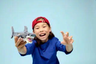 Requin féroce avec un coffre au trésor