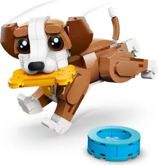 Chiot joueur