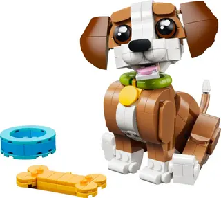 Chiot joueur
