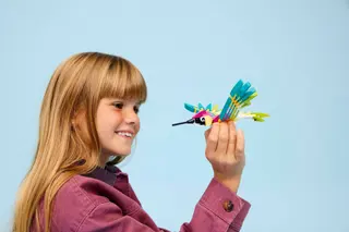 Colibri coloré
