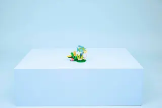 Colibri coloré
