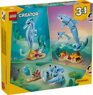 Beautiful Dolphins