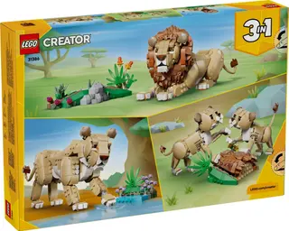 Wild Animals: Majestic Lion