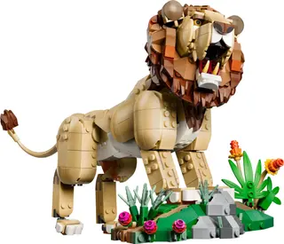 Wild Animals: Majestic Lion