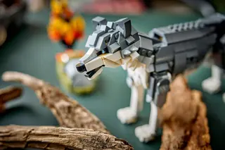 Waldtiere: Grauwolf