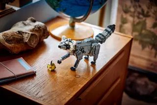 Waldtiere: Grauwolf