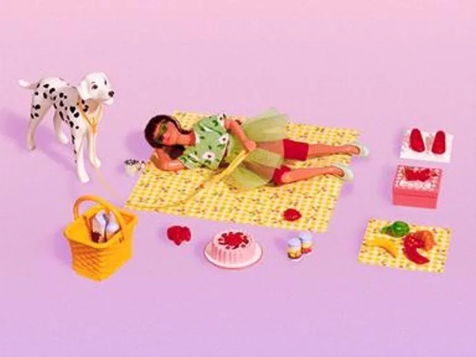 Julie's picknicklunch