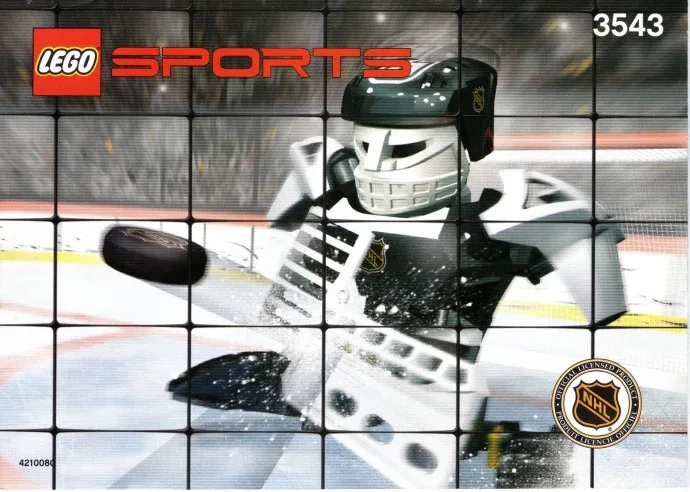 Slammer Goalie