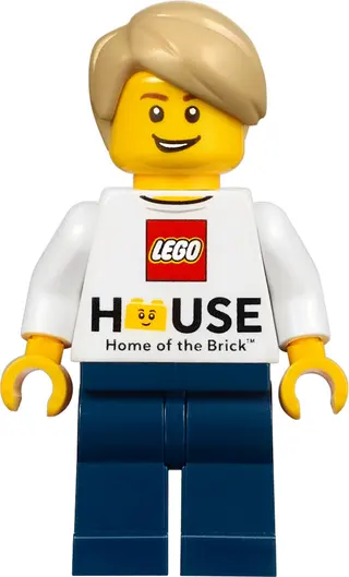LEGO Huis Boom van Creativiteit