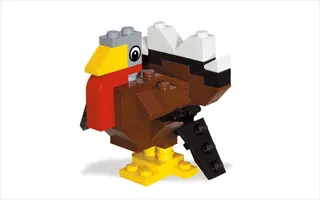 Thanksgiving Turkey