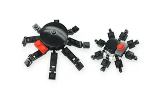 Spiders Set