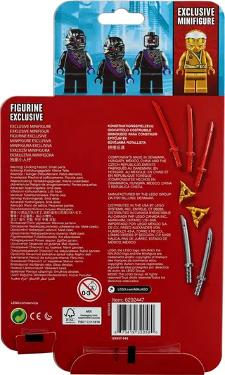 Gouden Zane Accessoireset