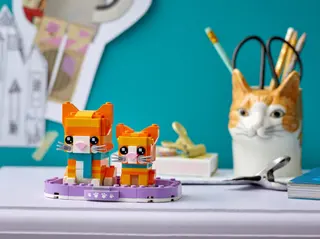 Chat roux