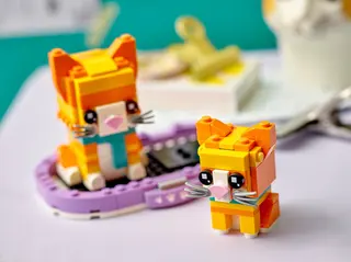 Chat roux