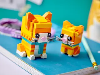 Chat roux