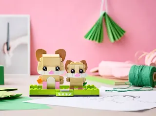 Hamster
