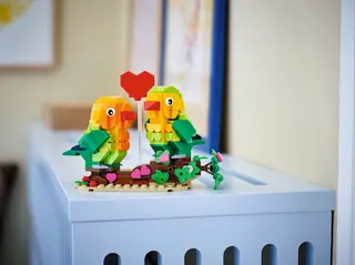 Tourtereaux de la Saint-Valentin