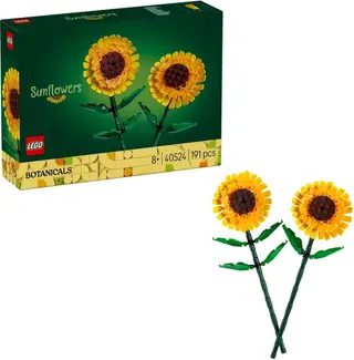 Sonnenblumen