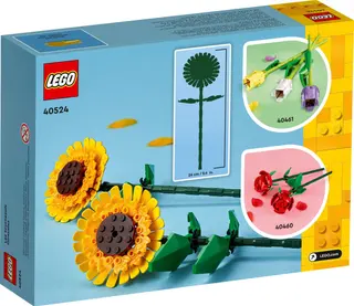 Sonnenblumen