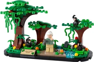 Jane Goodall-Hommage