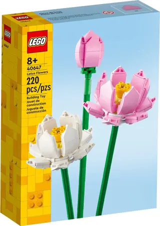 Lotusblumen