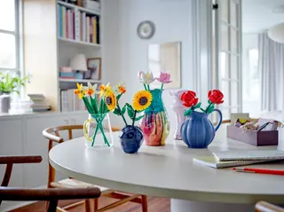 Lotusblumen