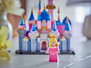 Mini-Dornröschenschloss von Disney