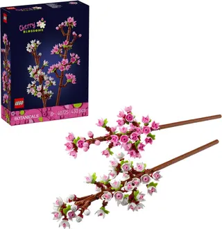 Cherry Blossoms