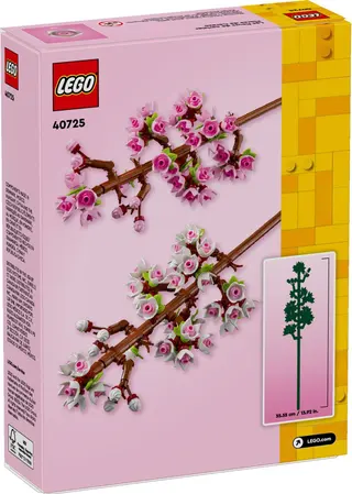 Cherry Blossoms