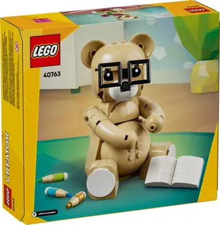 Teddybeer voor Kinderdag