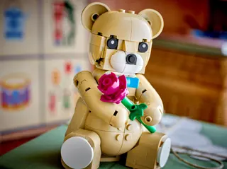 Teddybeer voor Kinderdag