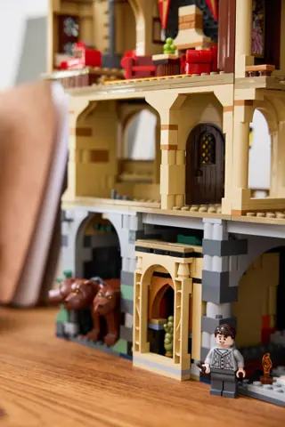 Schloss Hogwarts: Raum der Wünsche