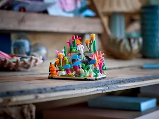 Koraalrifdiorama