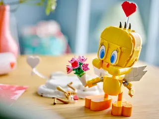 Lieve Tweety Bird