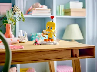 Lieve Tweety Bird