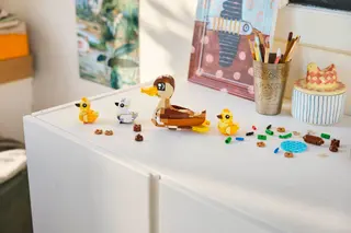 Famille de canards