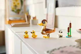 Famille de canards