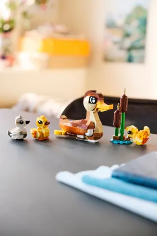 Famille de canards